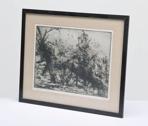 Geer Steyn - geen titel kopen? Bied vanaf 20!