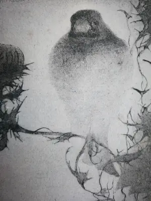 Jan Mankes - Heliogravure. Vogel. kopen? Bied vanaf 1!