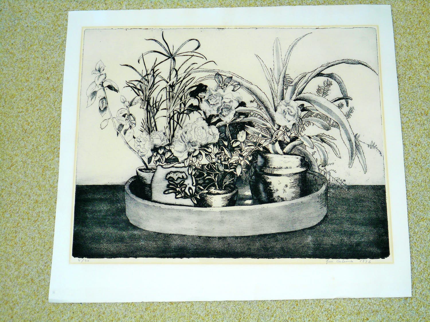 Jose Calsina - Grafiek - Bloemstilleven kopen? Bied vanaf 20!