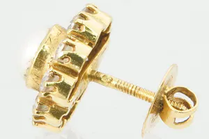 Elegante set 20Krt geel-gouden rozet dames-oorschroeven met parel en zirkonen kopen? Bied vanaf 90!