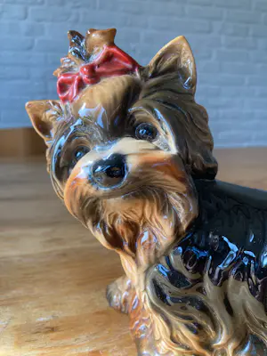 Porzellanfabrik W. Goebel - Porseleinen beeldje van een Yorkshire Terriër van het Duitse Goebel, 1970 kopen? Bied vanaf 65!