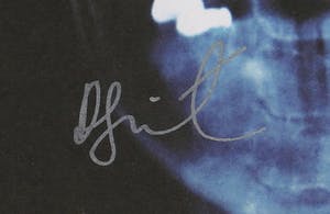 Damien Hirst - Gesigneerd album van The Hours: See the Light - Ingelijst kopen? Bied vanaf 1!