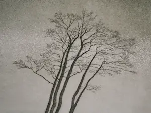 Abraham Lüttger - Bomen in de groene dageraad kopen? Bied vanaf 70!