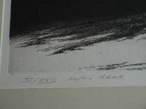 Dick Stolwijk - Ets, “Minotaurus met Roos” – gesigneerd & ingelijst – oplage 25 ex. kopen? Bied vanaf 50!