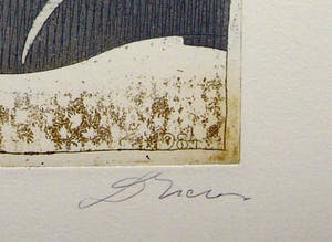 Dan Erceanu - Zaubervogel kopen? Bied vanaf 29!