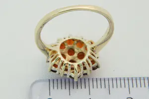 9- Klassieke 14 karaats geel-gouden rozet ring - 19 gefacetteerde bruine stenen kopen? Bied vanaf 140!