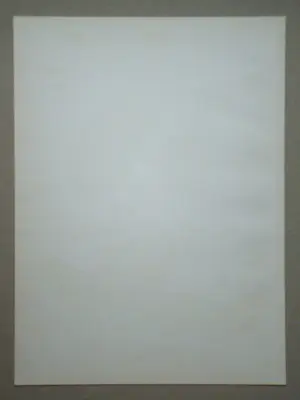 Georges Braque - Charnets intimes - 1955 - Originele lithografie - Mourlot - Verve kopen? Bied vanaf 80!