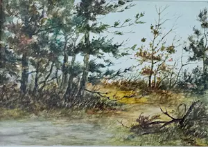 Ton Pape - Landschap kopen? Bied vanaf 65!