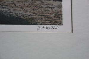 Carel Willink - Litho: De eeuwige schreeuw (keurig ingelijst, in zeer goede staat) kopen? Bied vanaf 595!