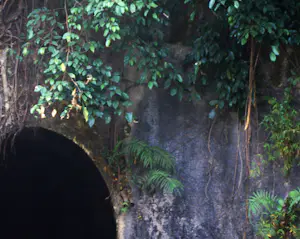 Hans van Wingerden - Yogja II kopen? Bied vanaf 175!