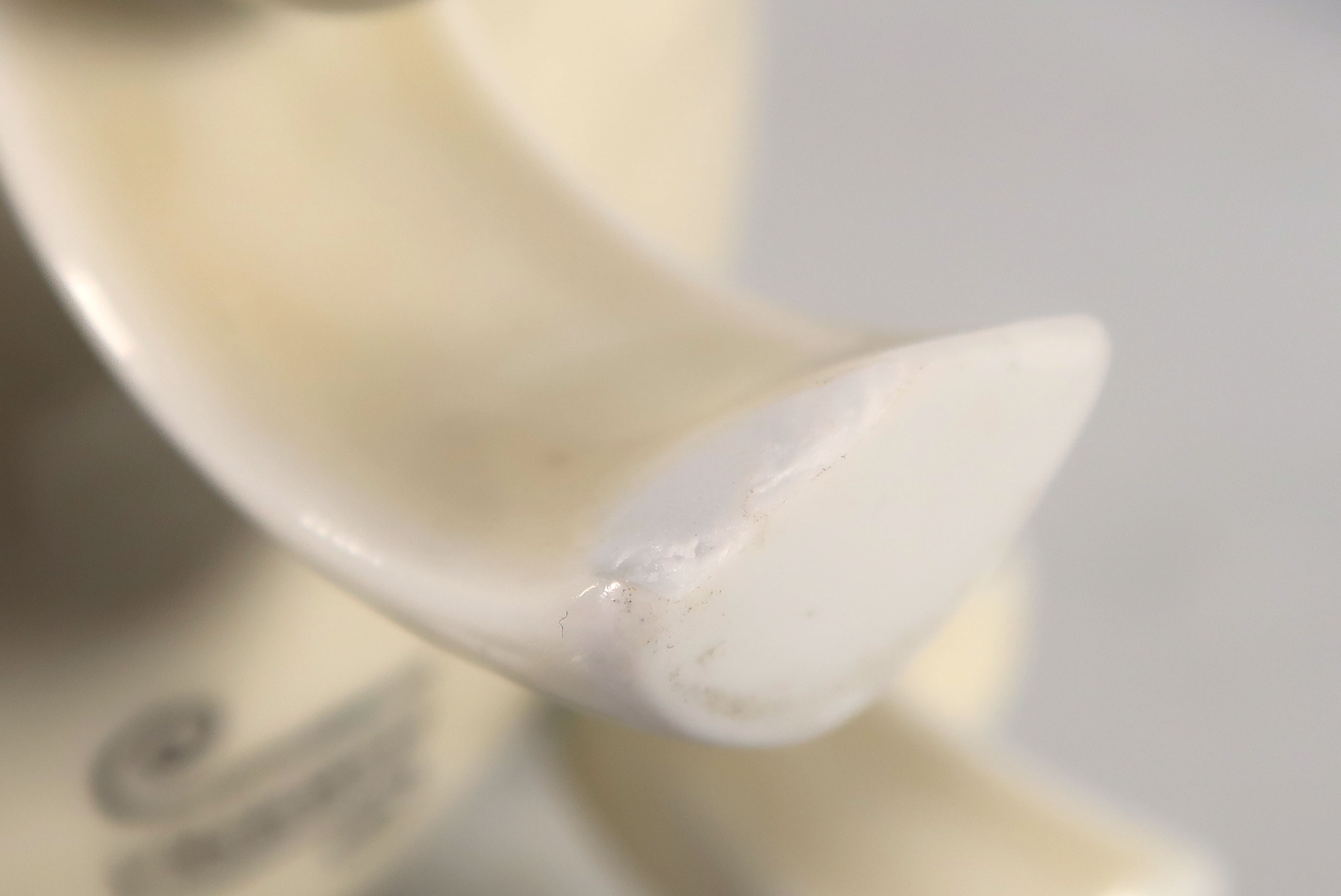 Maroeska Metz - Porselein, Tweekleurige tulpenvaas kopen? Bied vanaf 1!