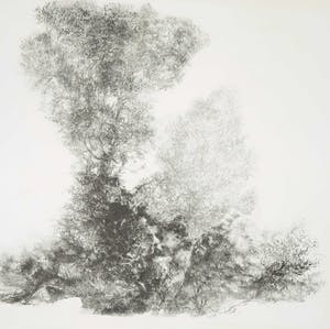 Jaap Kruijff - Litho, Smeulend landschap kopen? Bied vanaf 1!