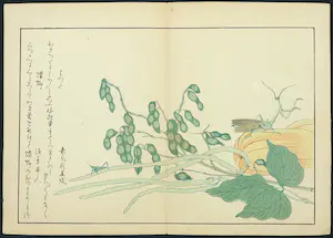 Kitagawa Utamaro - Houtdruk, Sprinkhaan op gele pompoen kopen? Bied vanaf 35!