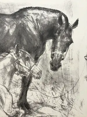 Piet Klaasse - Paarden, proefdrukken offsetlitho, 2-zijdig bedrukt, gesigneerd in druk kopen? Bied vanaf 20!