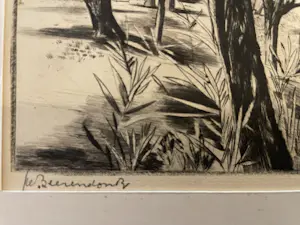 Theo Beerendonk - Knotwilgen kopen? Bied vanaf 40!