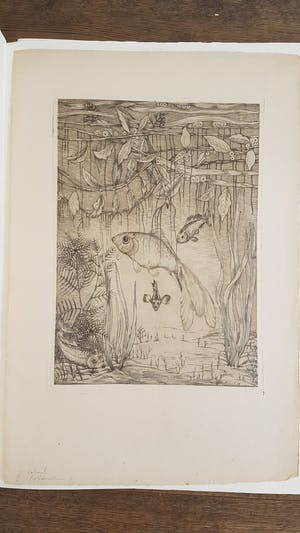 Jan Schonk - Lot van 7 prenten, 5x handgesigneerd kopen? Bied vanaf 150!