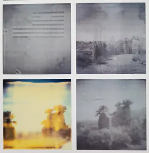 Stefanie Schneider - OASIS (Sidewinder), signiert und 1/25 nummeriert kopen? Bied vanaf 380!