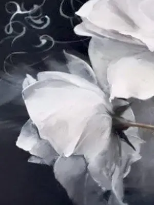 Willem Haenraets - Witte rozen I kaufen? Bieten Sie von 159!