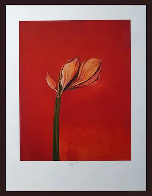 AcheterBruno Bruni - " Amarillis " - kleurengiclee - handgesigneerd? Enchérissez de 59!
