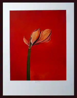 Bruno Bruni - " Amarillis " - kleurengiclee - handgesigneerd verkauft für € 59!