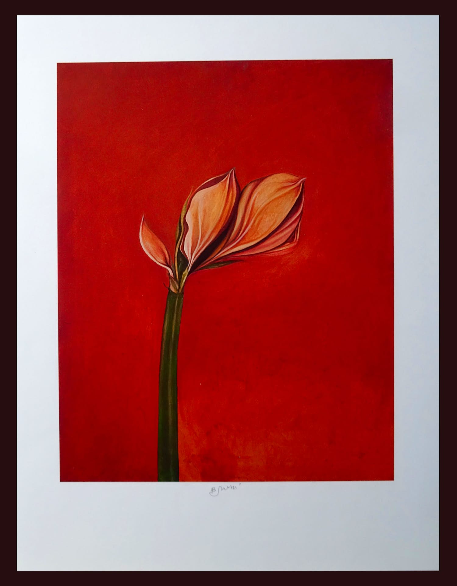 Bruno Bruni - " Amarillis " - kleurengiclee - handgesigneerd kopen? Bied vanaf 59!