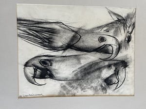 Alfons Van Meirvenne - Papagaaien (ink/houtskool op papier) kopen? Bied vanaf 15!