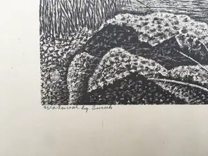 Sal Meijer - Litho "Waterval bij Zurich" kopen? Bied vanaf 60!