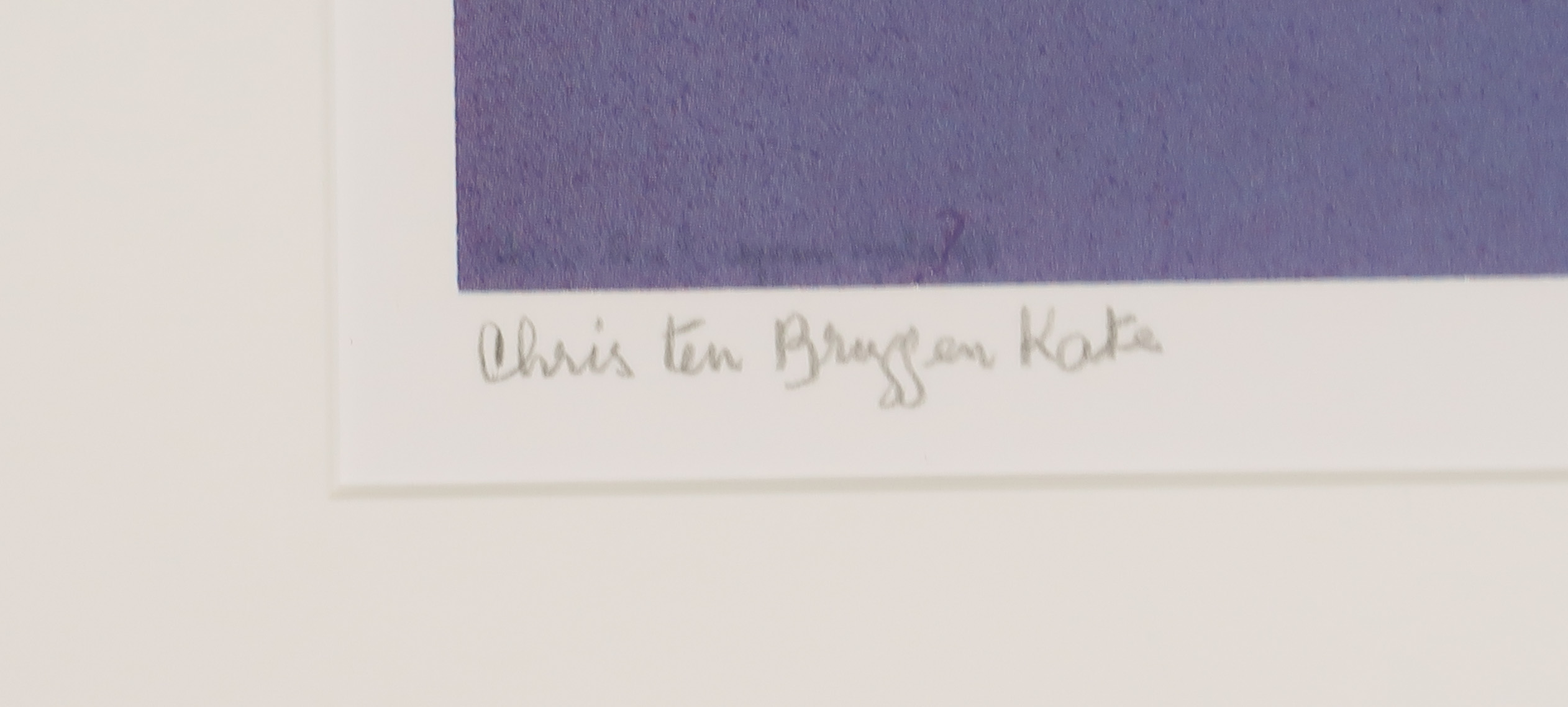 Chris ten Bruggen Kate - Zeefdruk, Winter  kopen? Bied vanaf 20!