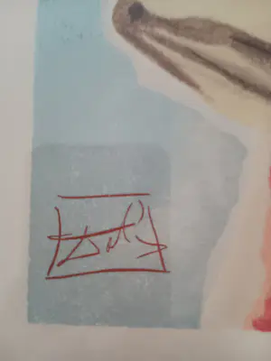 Salvador Dali - famme kopen? Bied vanaf 30!