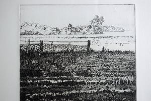 Jose Calsina - Het weiland kopen? Bied vanaf 50!