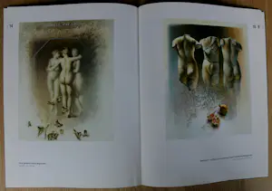 Poen de Wijs - 2 boeken: Schilderijen/''de drie gratiën kopen? Bied vanaf 49!