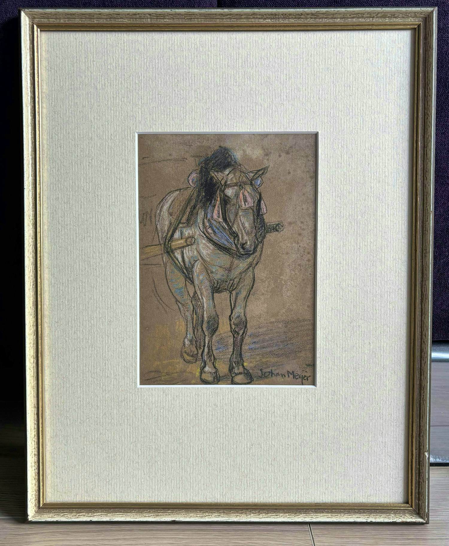 Johan Meijer - Trekpaard kopen? Bied vanaf 75!