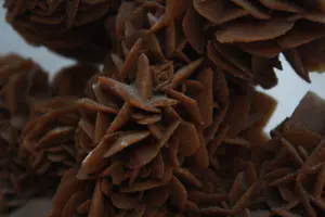 Niet of onleesbaar gesigneerd - Seleniet Marroko/Afrika kopen? Bied vanaf 1!