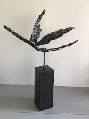 Corry Ammerlaan - “ Met het juiste doel voor ogen “. kopen? Bied vanaf 139!