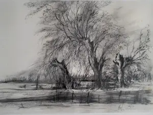 Nol Reuser - Landschap met bomen. kopen? Bied vanaf 59!