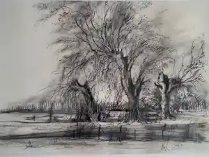 Nol Reuser - Landschap met bomen. vendu pour 59€ !