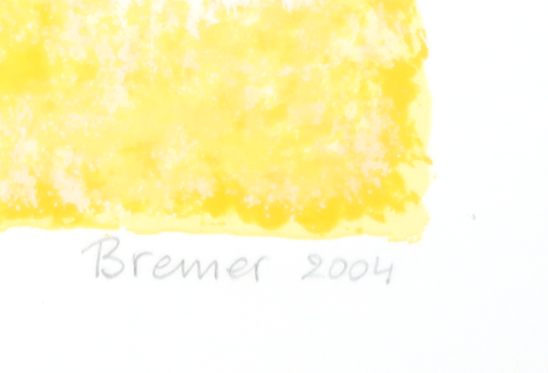 Saskia Bremer - Zeefdruk, Pedragosa (groot) kopen? Bied vanaf 1!