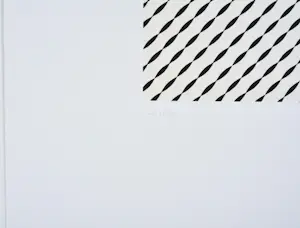 Walter Leblanc - Torsions - Zeefdruk - Gesigneerd - 54x42 cm - 1977 kopen? Bied vanaf 99!