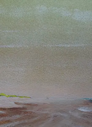 Franklin Meijer - Strand - Vlieland kopen? Bied vanaf 49!