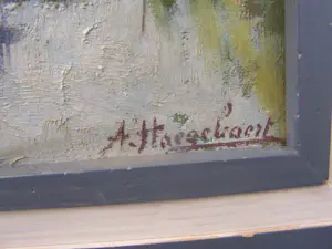 Arthur Haeghebaert - Knotwilgen aan de waterkant. kopen? Bied vanaf 75!