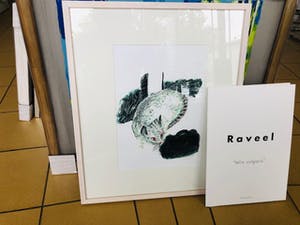 Roger Raveel - Felix vulgaris nr.3 kopen? Bied vanaf 645!