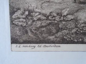 Pieter Dupont - Ploegende ossen kopen? Bied vanaf 125!