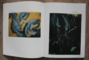 Anton Rooskens - boek Ed Wingen -1976 kopen? Bied vanaf 55!