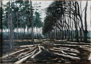 Anneke Boot - Veluwe, na de storm bij het Uddelermeer kopen? Bied vanaf 130!