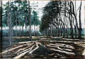 Anneke Boot - Veluwe, na de storm bij het Uddelermeer verkocht voor € 130!