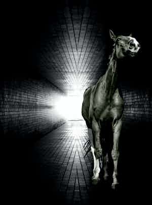 Mr. Strange - Le Couloir de la Mort verkocht voor € 35!