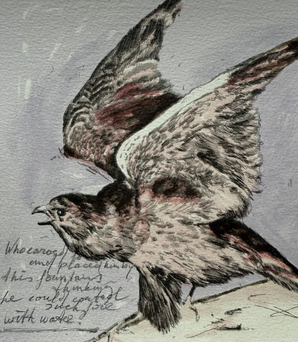 Pieter Alewijns (1954)