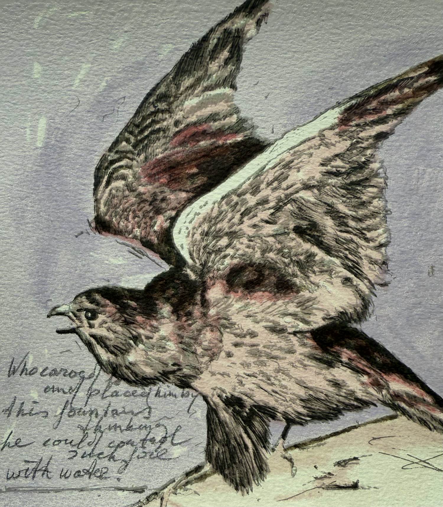AcheterPieter Alewijns - handgesigneerde zeefdruk | 'Vogel' | 1996? Enchérissez de 50!
