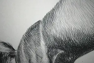 Marcello Cassinari Vettor - Cavallo - steigerend paard - grote litho, oplage 53/150 kopen? Bied vanaf 60!