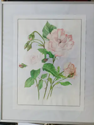 Niet of onleesbaar gesigneerd - Rozen kopen? Bied vanaf 1!